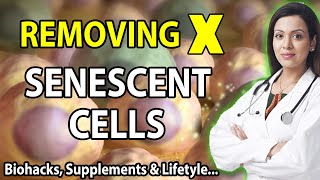 How To Remove Senescent Cells  AntiAging Biohacking [upl. by Sihtam952]