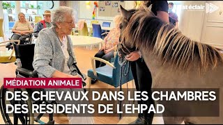 Des chevaux jusque dans les chambres des résidents à l’Ehpad [upl. by Darmit]