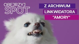 Z archiwum LINKWIDATORA AMORY [upl. by Anerak164]