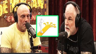 Joe Rogan Efficiency in DecisionMaking John McPhee [upl. by Airottiv577]