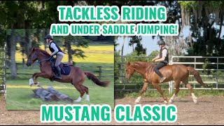 Tackless Riding and Under Saddle Jumping  Mustang Classic 23 [upl. by Malvia]