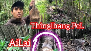 Kapa toh a thangkam kaga vet nahon  Vangphat pin pel a ailai khat ana oh e🤗😮 [upl. by Dunseath]