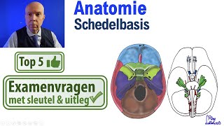 Schedelbasis AnatomieSchedel Uitleg Top 5 examen vragen [upl. by Terrye]