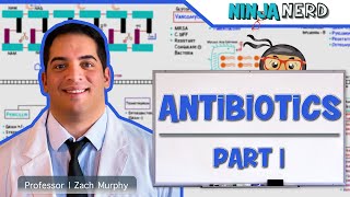 Antibiotics  Mechanisms of Action Animation [upl. by Inhoj382]