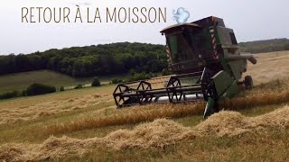 ON REPREND ENFIN LA MOISSON🌾 EPISODE 5 [upl. by Parthen]