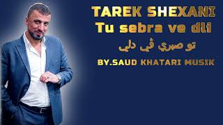 TAREK SHEXANI Tu sebra ve dli 2024 تو صبري ڤي دلي [upl. by Sax101]