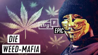 WeedMafia Wie blutig ist unser Gras  STRGF EPIC [upl. by Ettenauq]