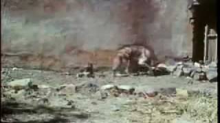 Leopardess vs female hyena Leopardess defeat hyena twice her size [upl. by Gosney]