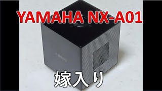 【SOLDOUT】YAMAHA NX A01 [upl. by Ehc]