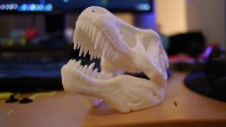 ROBO C2Printing a TRex Skull [upl. by Ymmak]