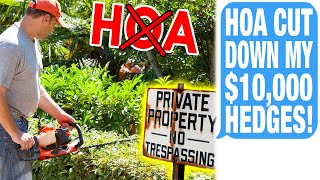 rLegalAdvice HOA Trespassed On My Property CUT MY HEDGES WITHOUT MY CONSENT I Lost 10000 [upl. by Amliw171]