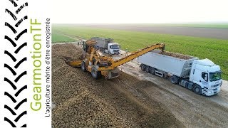 Sugar beet loading  Kleine Beet Cleanliner RL 350 [upl. by Edee536]