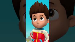 Paw Patrol  La Squadra dei Cuccioli  Cali prende il volo  Nick Jr Italia [upl. by Sharai]