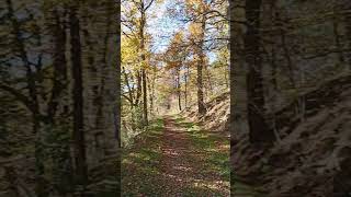 Le chant de la Dunières Auvergne zen [upl. by Jeconiah]