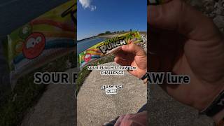 SOUR PUNCH STRAW LURE CHALLENGE fishing shorts [upl. by Leeanne]