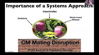 Codling Moth Mating Disruption [upl. by Kella]