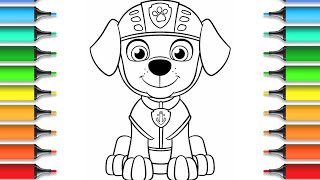 Drawing and Coloring ZUMA from Paw Patrol 🐶👮 🌈 Drawings for Kids [upl. by Seidule506]