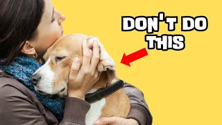 13 Crazy Things Dogs Hate That Humans Do [upl. by Jenna]