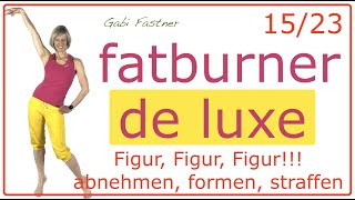 1523🍡33 min Fatburner de luxe  effektiv abnehmen mit Kraftausdauertraining  ohne Geräte [upl. by Rimisac]