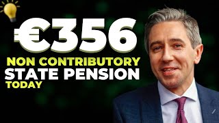 GET READY SENIORS  €356 NON CONTRINUTORY STATE PENSION FOR IRELANDS SENIORS  COMING TODAY [upl. by Anirahc]