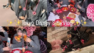 【ディズニーVlog】 現役JKの制服クリスマスディズニー🎄✨念願のヒョウ柄ミニー🩷🤎 [upl. by Louth]