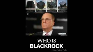 💀 BLACKROCK  SILENT GIANT CONTROLLING 90 of MEDIA WORLDWIDE 💩 [upl. by Norrag]