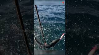 Catching King Fish in the Deep Sea fishing fishingvideo oceanfishing [upl. by Thevenot]