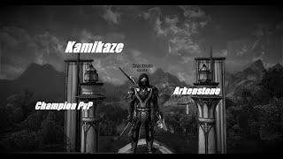 LOTRO PvP Champion Kamikaze [upl. by Leonanie]