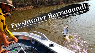 Fishing for freshwater BARRAMUNDI in Lenthalls Dam [upl. by Ehrman]