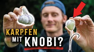 KNOBIKARPFEN Geht das Mit Knoblauch auf Karpfen  Angeln Juni 2024 [upl. by Urbana]