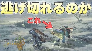 絶対にハンターを背中に乗せるセクレト vs 絶対に乗りたくないハンターを制することはできるのか【モンスターハンターワイルズβ体験版実況】 [upl. by Mccord706]