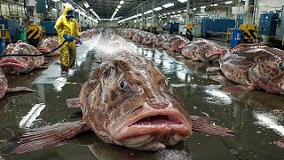 European Fishermen Catch Hundreds of tons of Fish This Way  Bottom Trawling on Big Boats [upl. by Fitz731]