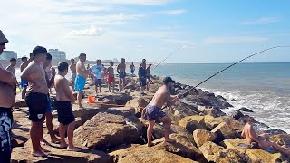 IMPRESIONANTE PESCA DE UN EJEMPLAR DE MÁS DE 15 KG [upl. by Linda]