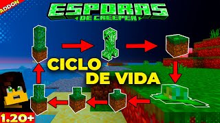 Addon de Esporas de Creepers Para Minecraft PE 📲  Duplica los Creepers con este ADDON 120 [upl. by Clotilda22]