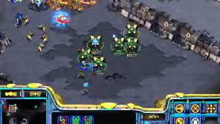 StarCraft Brood War FPVOD 27 08 2008 White Ra PvP Протоссы атакуют [upl. by Corabel]