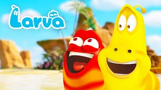 ISLAND ADVENTURE  LARVA  Cartoons for Kids  WildBrain Kids [upl. by Thelma]