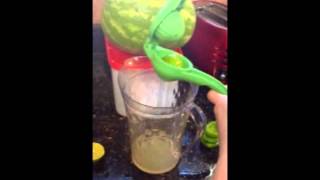 Tupperware Zest N Press  Lemon Lime Press  Fresh Limeade [upl. by Ibok]