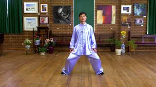 Tai Chi for Beginners Lesson 1 Basic Training [upl. by Mou588]