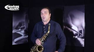 Theo Wanne NY Bros Alto Sax Mouthpiece with Greg Abate [upl. by Ardnoik209]