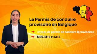 Le Permis de conduire provisoire en Belgique [upl. by Aenaj]