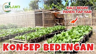 4 Konsep Bedengan untuk Pertanian 1005  Konsep Pertanian Organik  UPLAND Project [upl. by Hayyifas860]