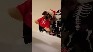 Asda Christmas 2021 animated hip hop pug [upl. by Gael]