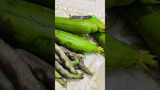 Lemon grass ☘️ gardening lemon lemongrass reels youtubeshorts [upl. by Lucinda]