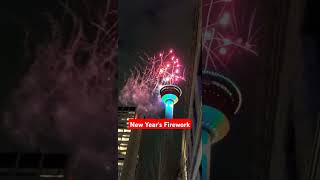 Firework at the Calgary Tower 🎆🔥 CalgaryTower Fireworks [upl. by Fasto758]