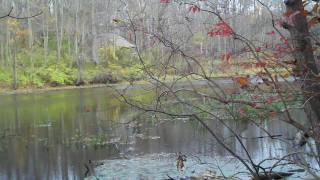 Black River County Park  Cooper Mill  njHikingcom [upl. by Alphonsa]