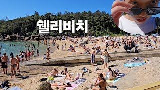 쉘리비치에 간 예비 책벌레 🇦🇺 호주 워홀 17 [upl. by Colt]