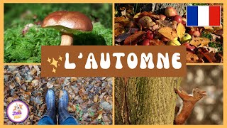 Lautomne pour les enfants en français  Apprendre le vocabulaire [upl. by Suzann874]