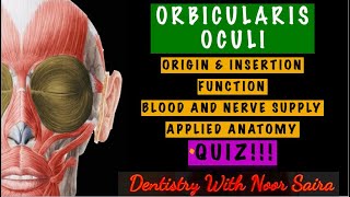 ORBICULARIS OCULI SIMPLIFIEDORIGIN INSERTION FUNCTION INNERVATION APPLIED ANATOMY [upl. by Lamdin]