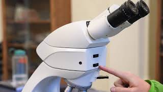 The Petrographic Microscope [upl. by Peednama]