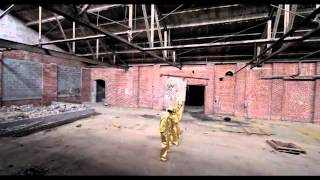 Dripping in Gold Dubstep Dance Video Ft LostArtRecords [upl. by Dur905]